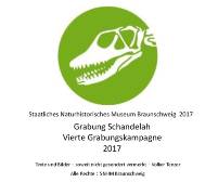 Geopunkt Jurameer Schandelah Präsentation 2017