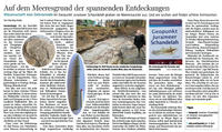 Geopunkt Jurameer Schandelah Auszeit Braunschweiger Zeitung